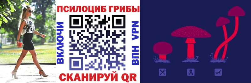 Галлюциногенные грибы Cubensis  Магас 